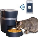 PetSafe Smart Feed الأعلاف التلقائية للحيوانات الأليفة 11