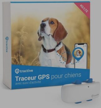 Tractive GPS Dog 4 8