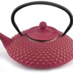 Bredemeijer G002GR - إبريق شاي من الحديد الزهر 11