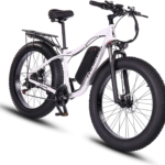 الدراجة الكهربائية Ride66 RX02 13