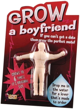 Forum Novelties - Figurine Grow A Boyfriend 129