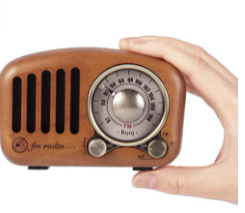 راديو محمول قابل للشحن PRUNUS J-919 26